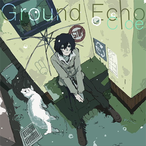 Ground Echo Image